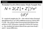 Fig 1. Formula used to determine study sample size.